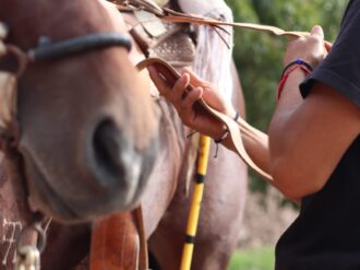 Ángel Lares, apasionado arrendador de caballos