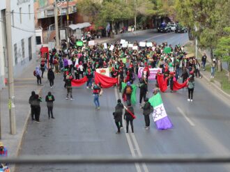 Entregan iniciativa ciudadana para despenalizar el aborto