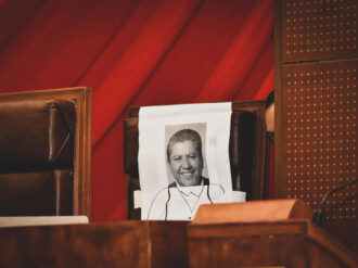 Desaira David Monreal al Poder Legislativo