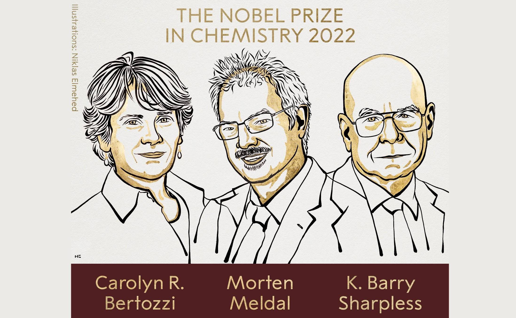 Nobel de Química 2022 reconoce el desarrollo de la química click y la bioortongonal