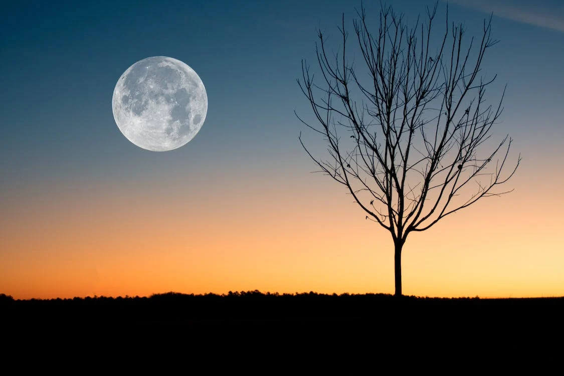 Al descubierto el engaño de la vida en la Luna