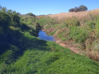 Limpian canal en Llano Blanco