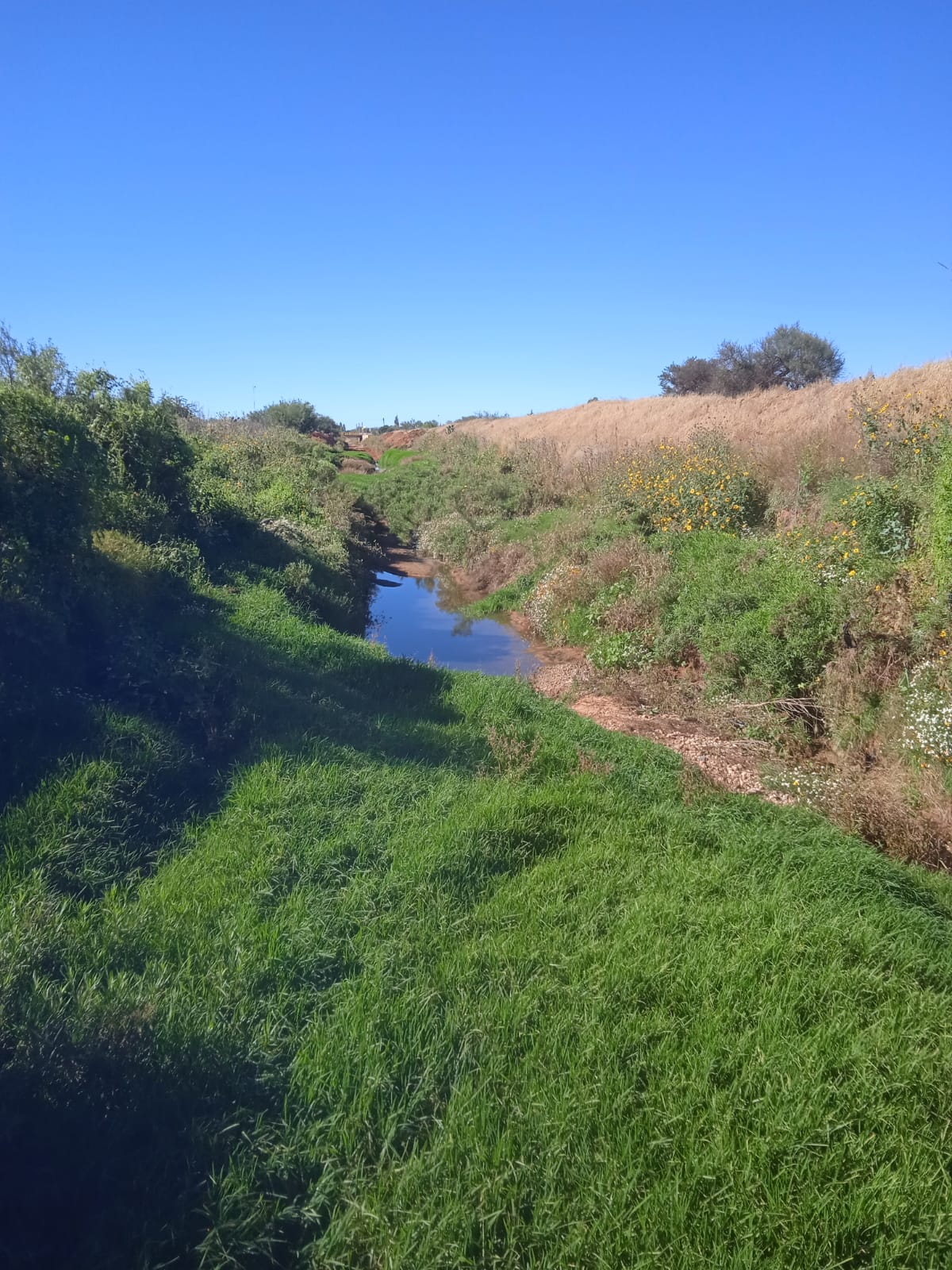 Limpian canal en Llano Blanco