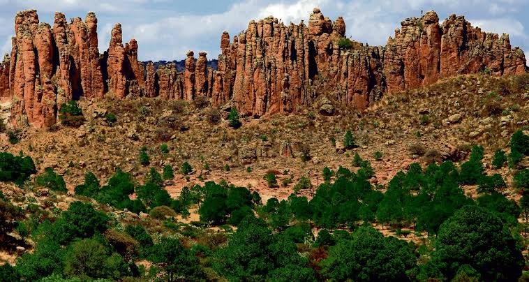 Preparan celebraciones por el parque Sierra de Órganos