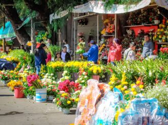 2 De noviembre, el día más vivo en el camposanto