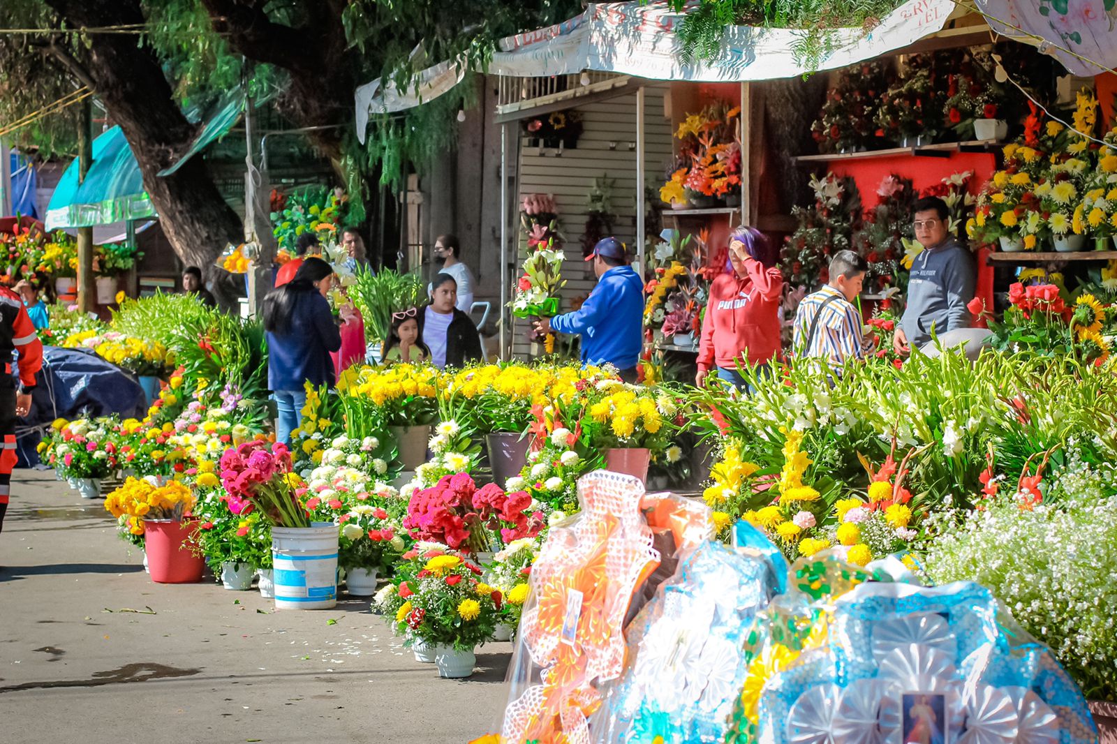 2 De noviembre, el día más vivo en el camposanto