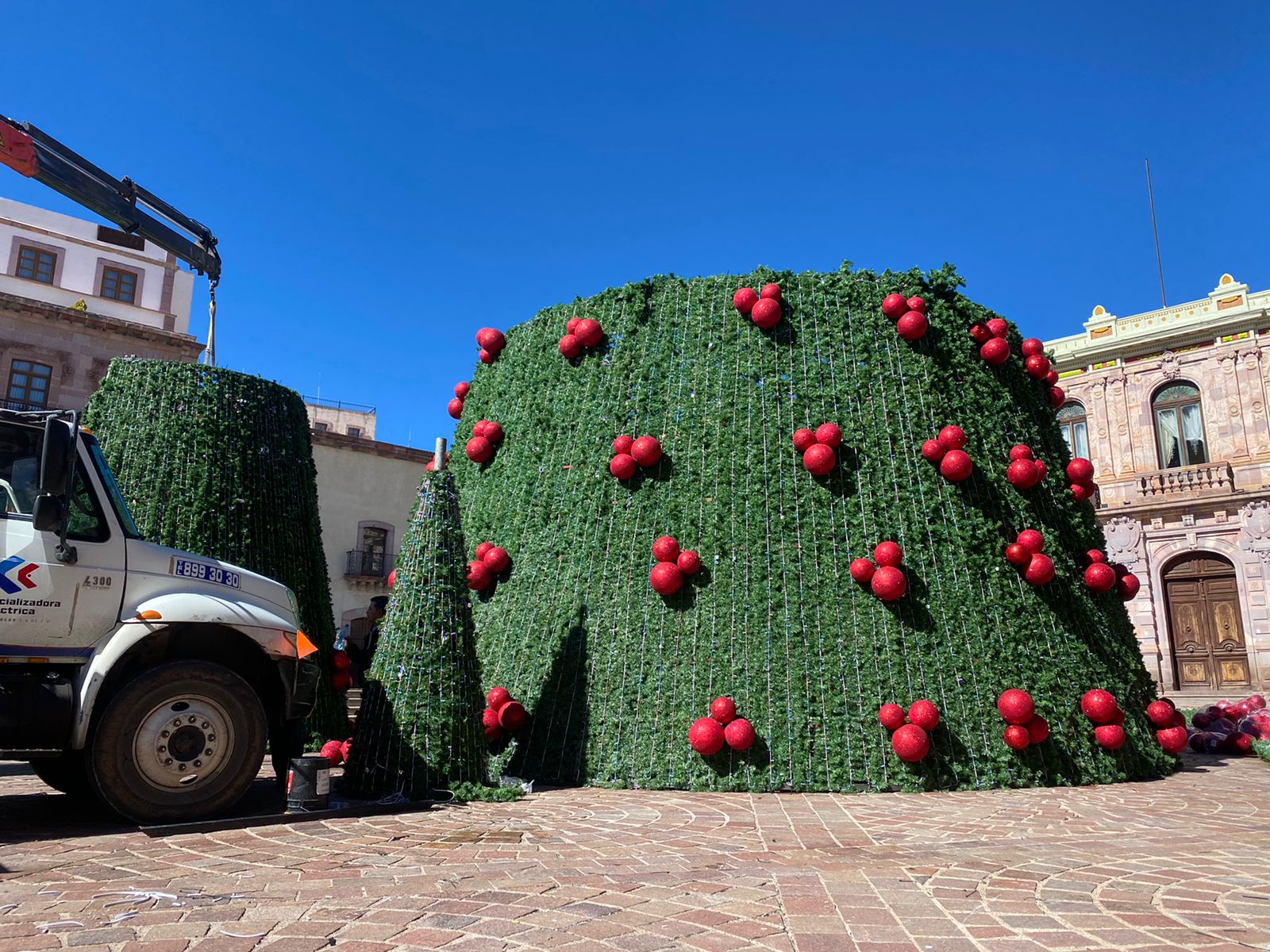 Medirá 23 metros árbol de Navidad