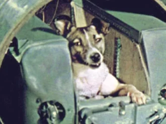 Se cumplen 65 años del lanzamiento de la perra Laika al espacio
