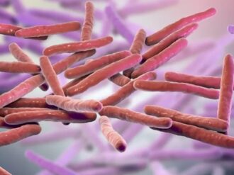 Bacteria de la lepra, potencial regenadora del hígado