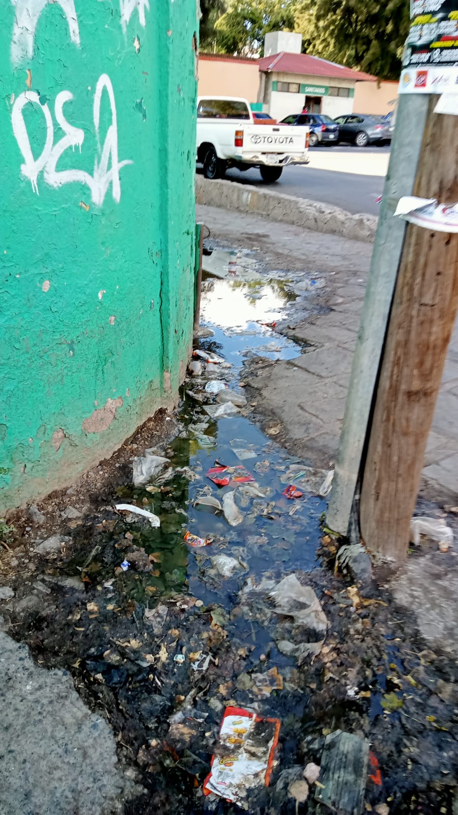 ¡Imágenes que huelen!