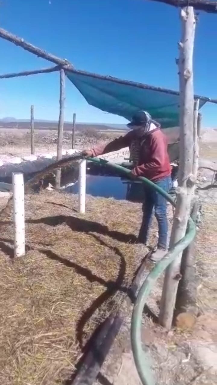 Produce Río Grande su biofertilizante