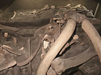 Revelan campamento de cazadores de mamut