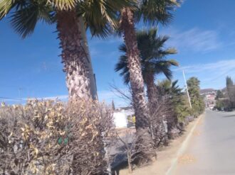 Limpian espacios públicos en Juan Aldama