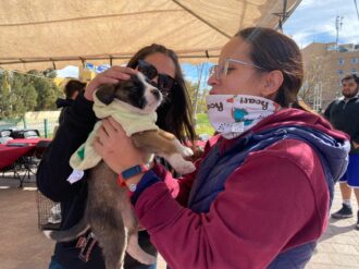Logran hogar 10 de 12 cachorros en el Adoptafest