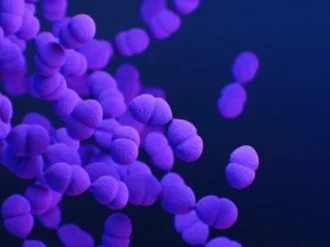 Conoce a las bacterias más peligrosas del mundo 