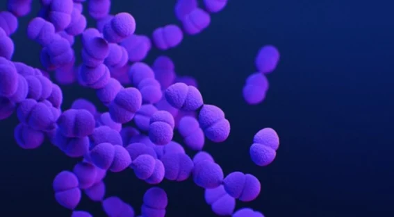 Conoce a las bacterias más peligrosas del mundo 