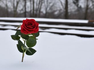 Construirán un Centro de Resguardo para Personas no Identificadas