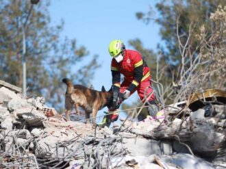 Binomios caninos mexicanos en acción
