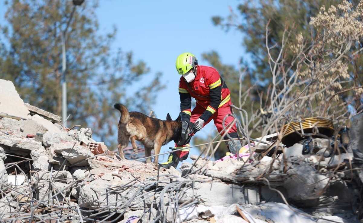Binomios caninos mexicanos en acción