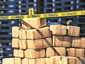 Cárteles controlan parte del territorio mexicano, coincide Mayorkas con Blinken