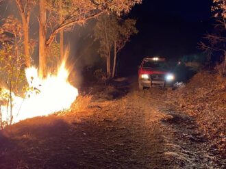 150 hectáreas dañadas por el fuego en la zona conurbada