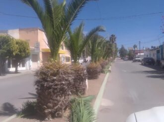 Mejoran imagen urbana de Juan Aldama