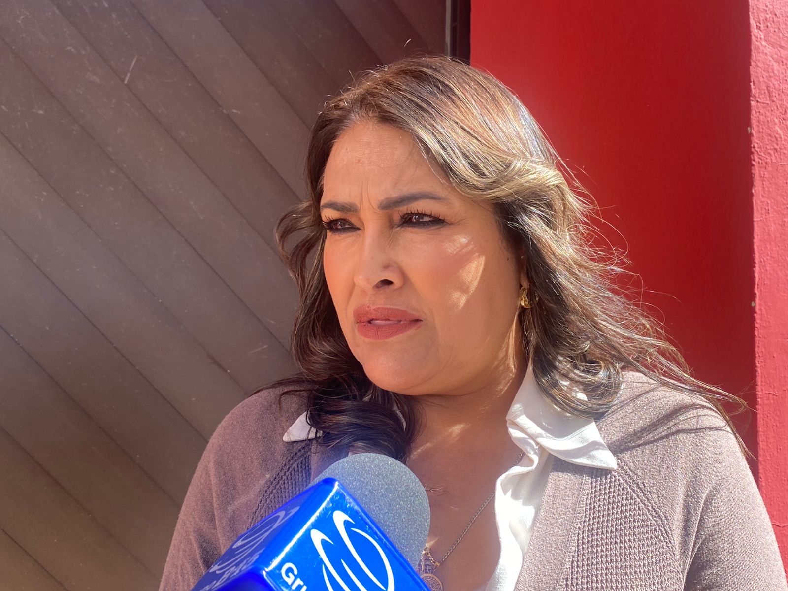 Indispensable, debatir sobre el aborto: Norma Castorena 