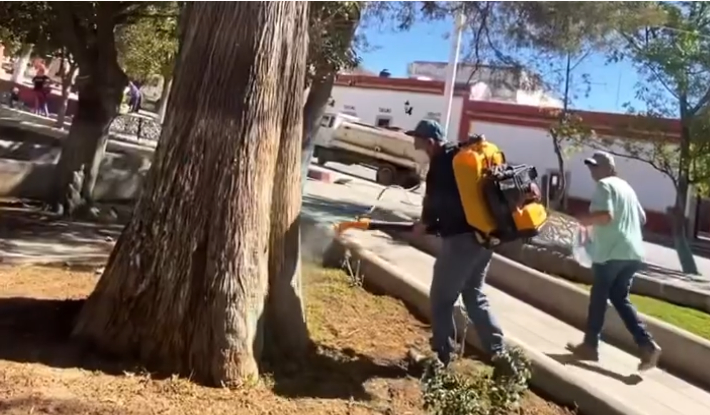 Mejoran áreas verdes en el jardín principal de Pinos