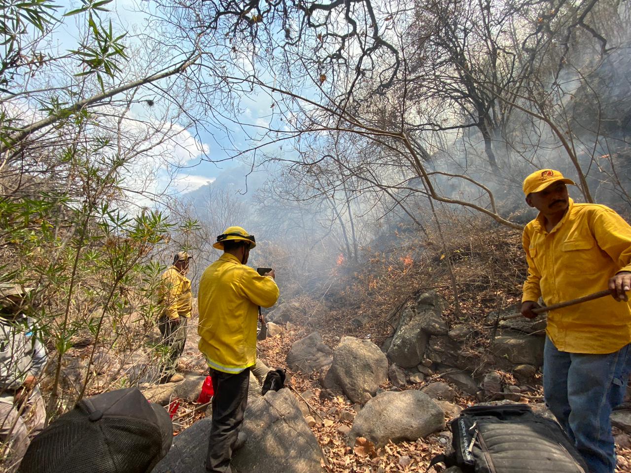 Sofocan incendio que afectaba a tres municipios 