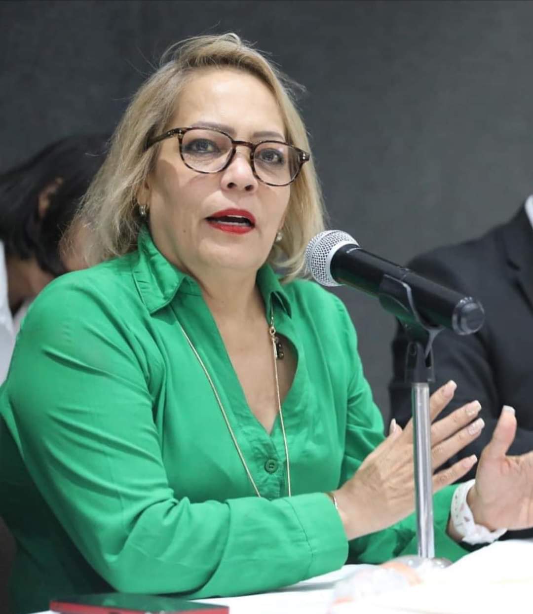 Culpa Villalpando Haro a la pandemia por abusos infantiles en escuelas