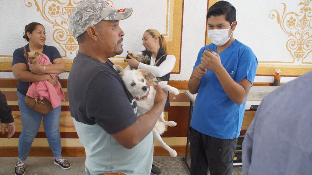 Realizan jornada de esterilización canina y felina en Juan Aldama