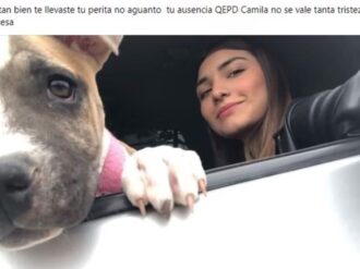 Joven fallece en accidente automovilístico; su perrita muere de tristeza