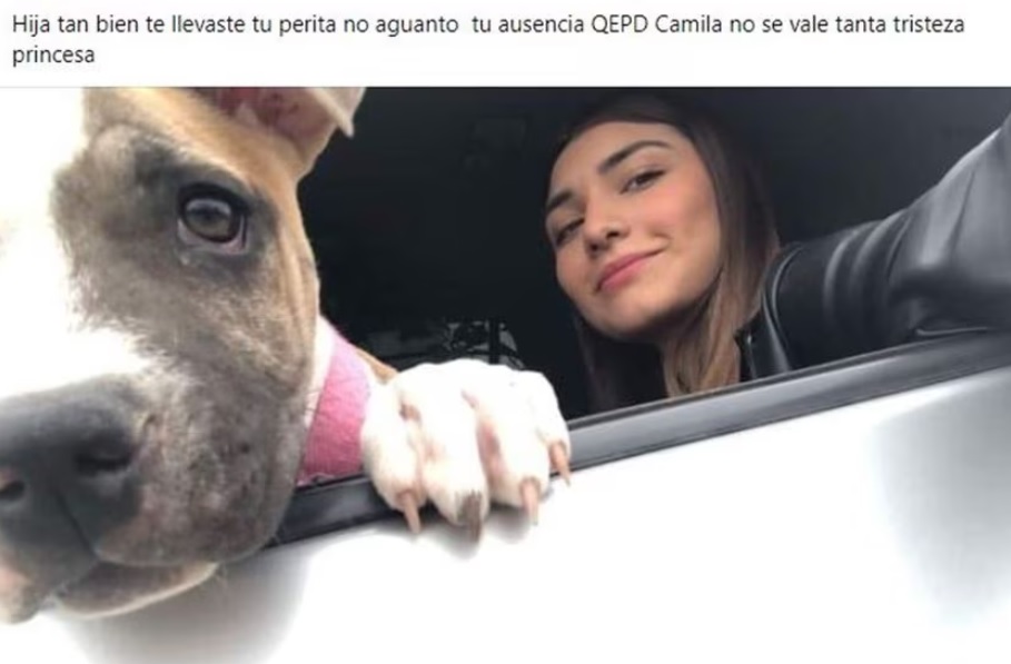 Joven fallece en accidente automovilístico; su perrita muere de tristeza