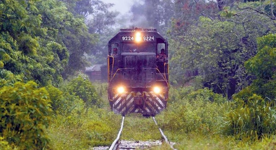 Empresa de Sedena prestará servicio de transporte de carga y pasajeros en el Tren Maya