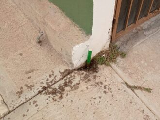 Denuncian robos de medidores de agua en Guadalupe