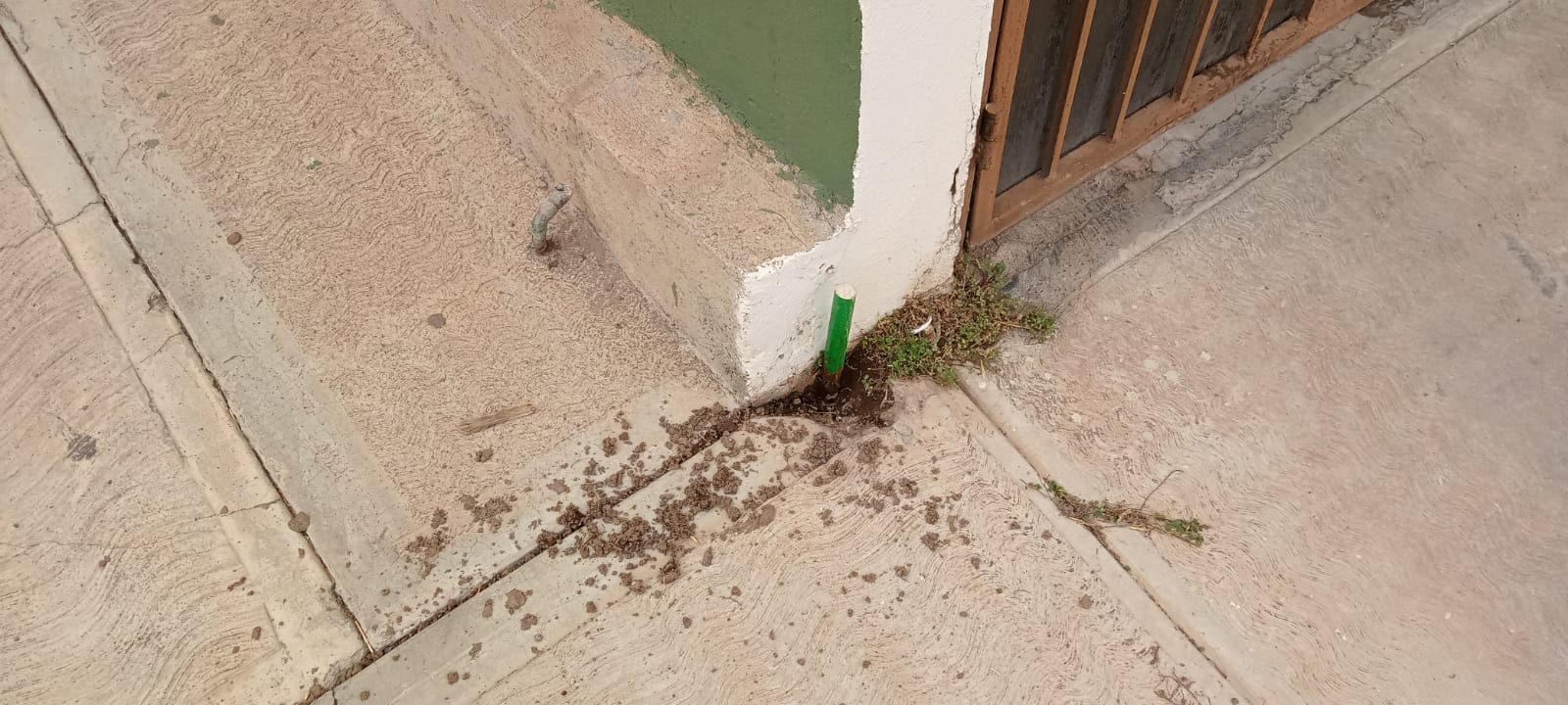 Denuncian robos de medidores de agua en Guadalupe