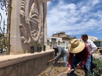 Reforestan áreas verdes en Sombrerete 