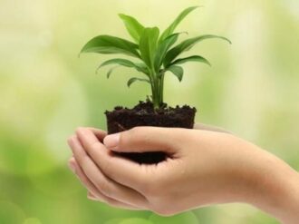 Ayuntamiento capitalino listo con actividades en beneficio del medio ambiente