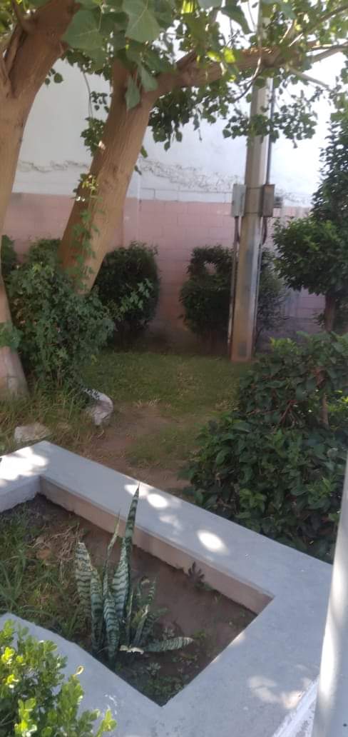 Dan mantenimiento a las áreas verdes