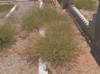 Mejoran los espacios públicos 