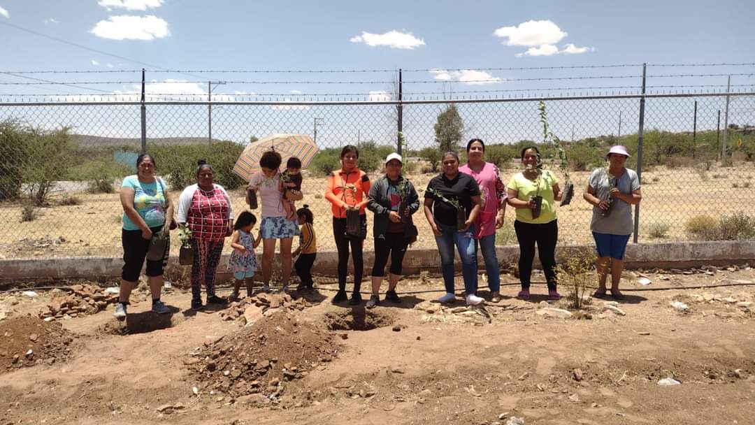 Reforestan kinder Beatriz González