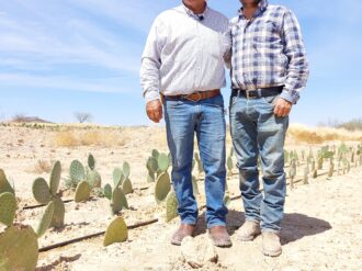 Florece vida en el semidesierto con nopal forrajero