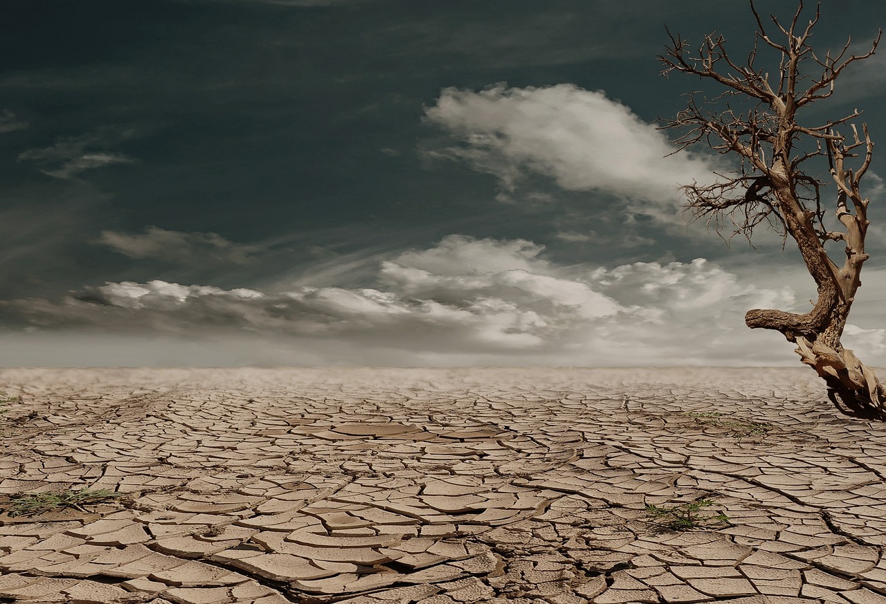 Con sequía extrema, 31 municipios; en riesgo, los ciclos agrícolas