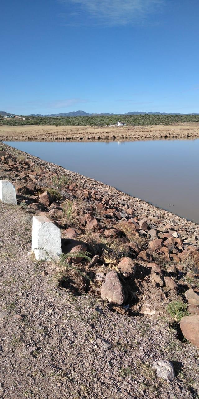 Continúa Zacatecas en sequía a pesar de las lluvias