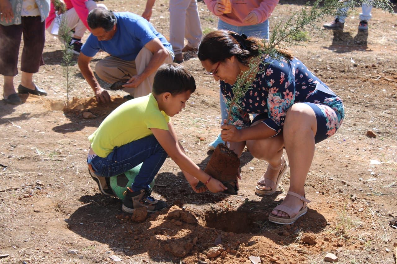 Cabildo infantil planta 50 árboles