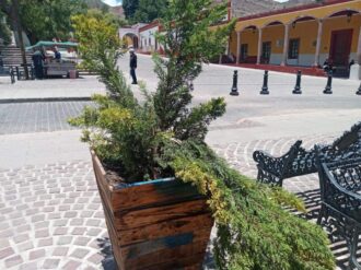 Vándalos en Pinos
