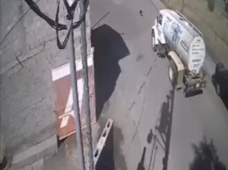 Piden justicia para Sorullo, perro atropellado por pipa de la JIAPAZ