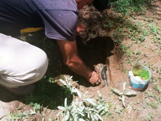 Limpian y dan mantenimiento a espacios públicos