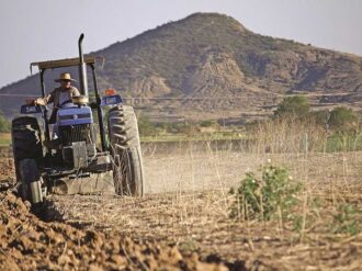 Alertan desabasto de frijol por sequía y urgen apoyos para agricultores