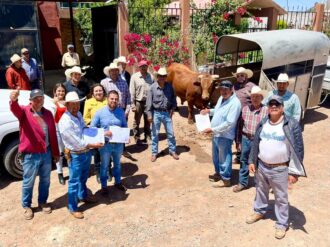 Con semental beefmaster mejorarán ganado de Pedregoso